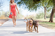 WIGZI Dual Doggie (2 DOG) Retractable Leash with Light (L.E.D), No Tangle 360 Technology, Independent Braking Each Dog up to 50lbs Each Dog with 10 ft Reflective Leads for Safety, Black & Gray Buttons