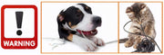 Sleek Socket Original & Patented Pet Proofing Outlet & Plug Concealer with Protective Cord Clips, 8-Foot Flat Extension Cord with Multiple Outlets, Safeguard from Chewing Dangerous Cords
