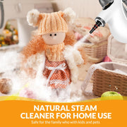 Handheld Pressurized Steam Cleaner with 12 pcs Accessories, Steamer for Cleaning, Steam Cleaner for Home Use, Steamer for Cleaning Car, Furniture, Floor, Upholstery, Grout and Tile, Deep Gray
