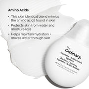 The Ordinary Lip Care Duo - Skin Care Bundle Set - PHA 5% Exfoliating Lip Serum 0.5 Fl Oz + Squalane and Amino Acids Lip Balm